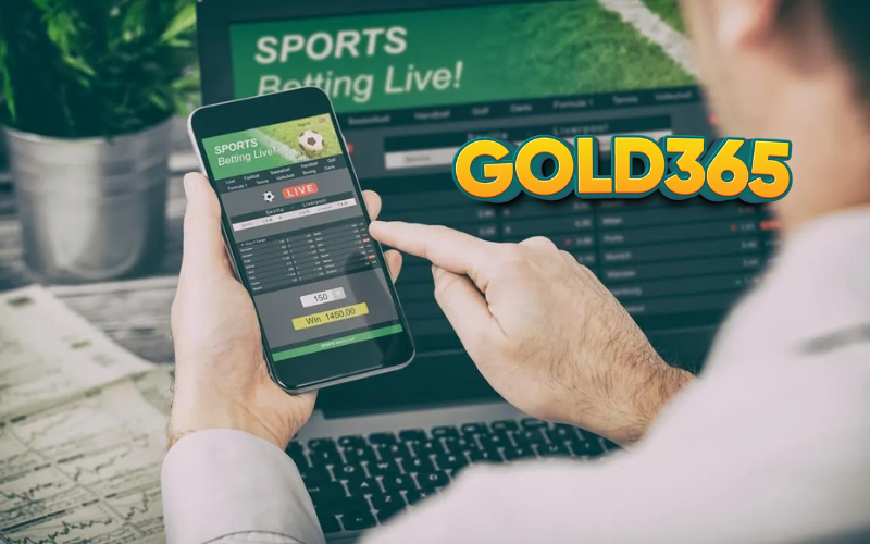 Gold365 platform